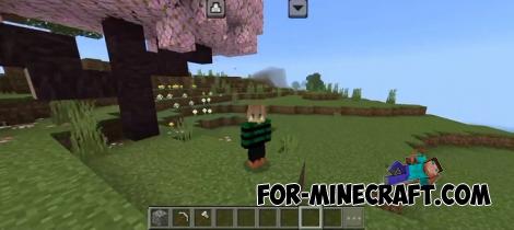 No Touch Circle for Minecraft PE/BE 1.20/1.21
