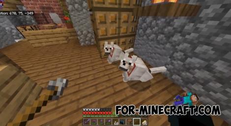 Catalistik Map for Minecraft Bedrock 1.21