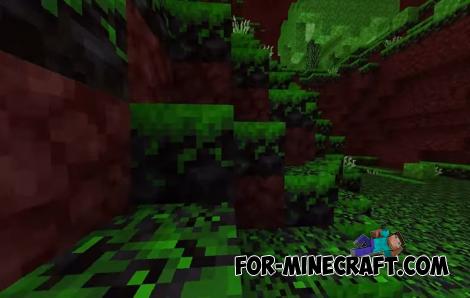 NetherBiomes Expansion Mod v1.0.4 for Minecraft Bedrock 1.21