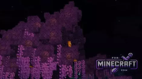 Nature’s Bounty Mod