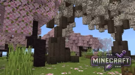 Nature’s Bounty Mod