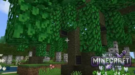 Nature’s Bounty Mod