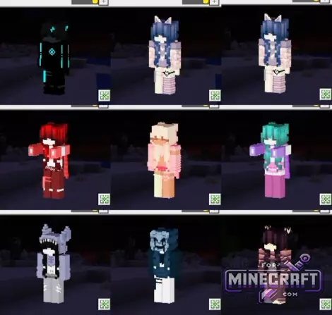 1,100 Skin Pack