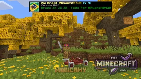 Brazilian pack Vai Brasil