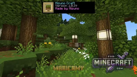 Japanese Mizuno Craft