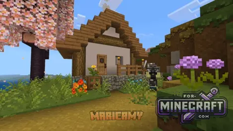 Japanese Mizuno Craft