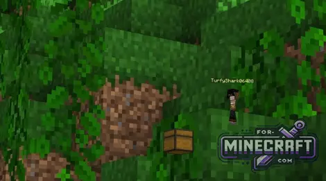 Chest ESP Cheat for Minecraft Bedrock 26.0