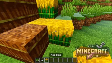 Farmer's Delight BE Addon