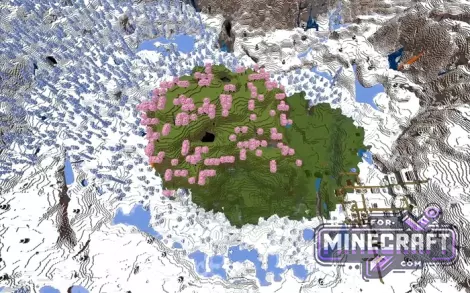 Frozen Oasis Seed