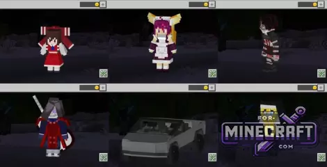 4D/5D Skins Support Mod