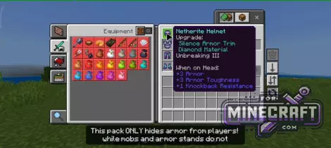 Invisible Player Armor for Bedrock 26.0.26+