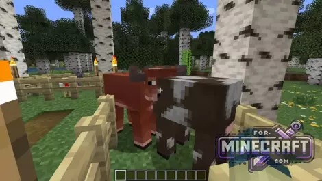 Java Aspects Pack for BedrockPE