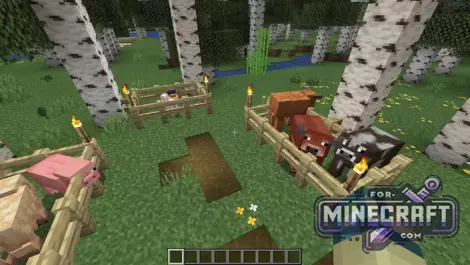 Java Aspects Pack for BedrockPE