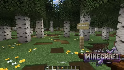 Java Aspects Pack for BedrockPE