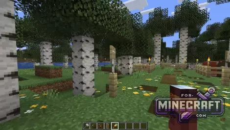 Java Aspects Pack for BedrockPE
