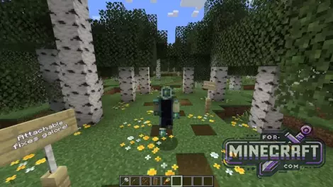 Java Aspects Pack for BedrockPE