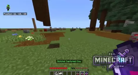 Catch & Carry Addon v1.1 for Minecraft Bedrock