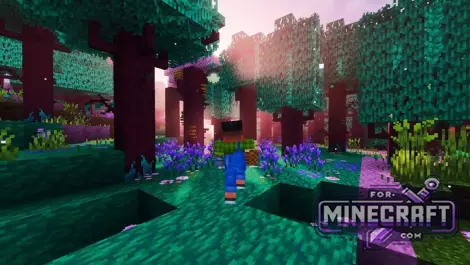 Celestia Shader v1.7