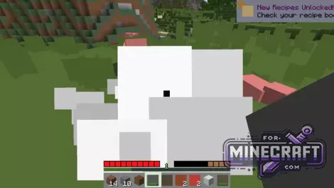 Smoothie Nmoothie 1x1