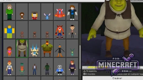 5D Skin Pack for Minecraft Bedrock