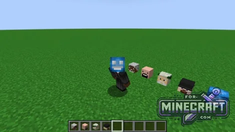 ActualPlayerHeads Mod v2.0.1 for Bedrock 1.21/26.20+