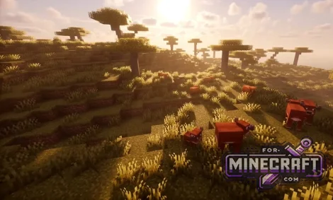 Cherry Village Island Seed