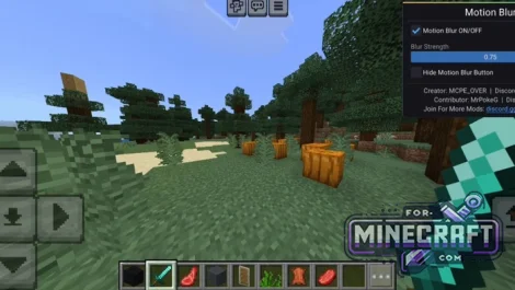 Motion Blur Mod for Minecraft