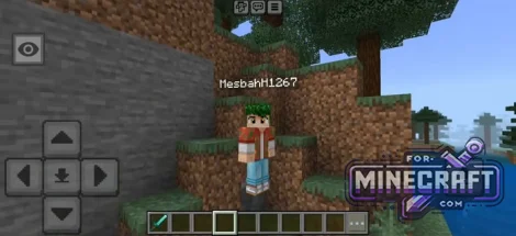 Third Person Nametag Mod for Minecraft Bedrock 26.X+