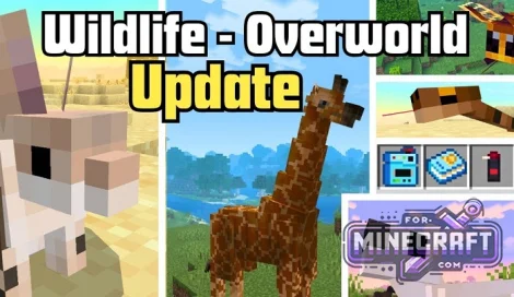 WLW Addon v4.0 for Minecraft Bedrock 1.26.X+