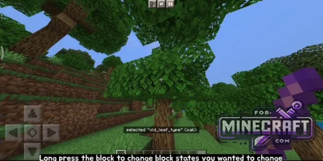 Debug Stick Addon Beta 8