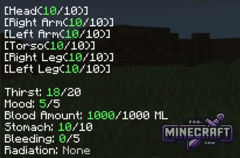 Vitality Simulator for Bedrock Edition