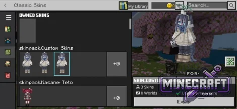 4D/5D Skin Pack for MCPE 1.26 (Multiplayer)