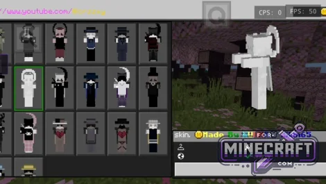 Custom 4D/5D Skinpacks