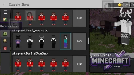 Custom 4D/5D Skinpacks