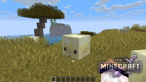 Minecraft Bedrock 26.30.31