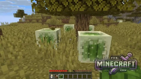 Minecraft Bedrock