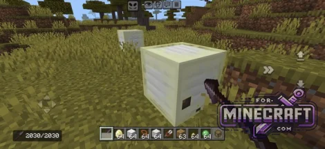 Minecraft Bedrock Edition