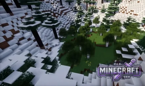 Mountain Hole Seed