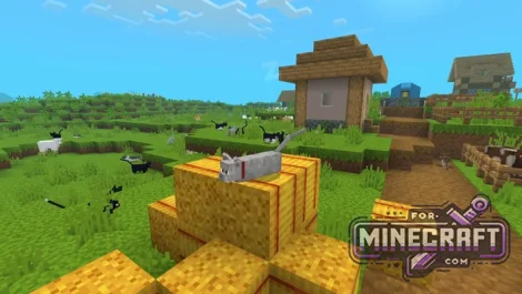 Realistic Cats Resource Pack v1.1 for Minecraft Bedrock 26+