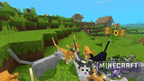 Realistic Cats Resource Pack v1.1