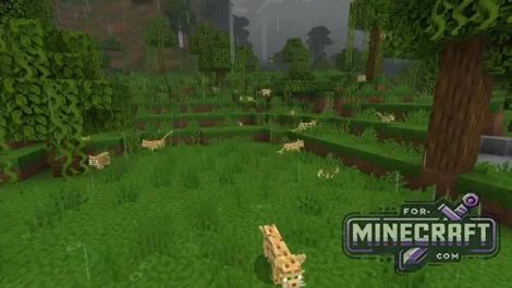 Realistic Cats Resource Pack v1.1