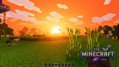 RVV Shader