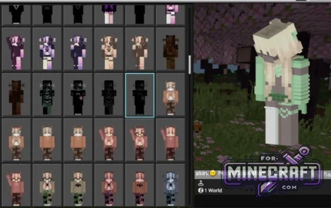 1000+ Cosmetics Skin Pack for Minecraft Bedrock 1.26+