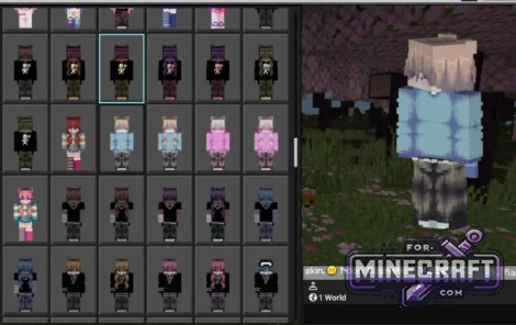 1000+ Cosmetics Skin Pack for Minecraft Bedrock