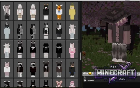 1000+ Cosmetics Skin Pack