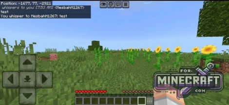 Chat Timestamps Mod for Minecraft Bedrock