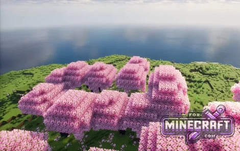 Cherry Island Seed
