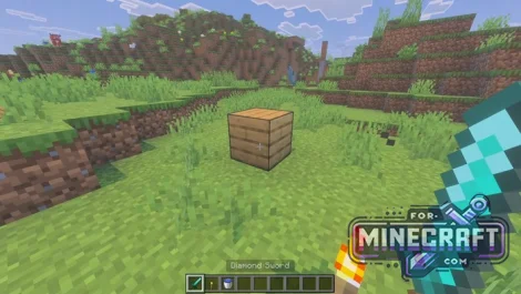 Double Hands Addon v4.0