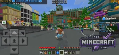 Freelook Mod