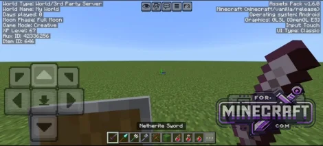 Pepe's Debug HUD V1.0 for Minecraft Bedrock